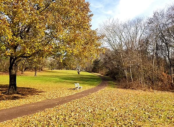 Quotes About The Value Of Parks And Nature