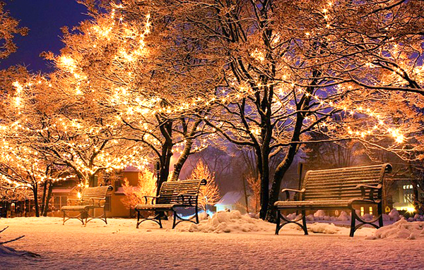 Happy Holidays And Why It's A Good Idea To Give Your Family The Gift Of A Walk In A Park