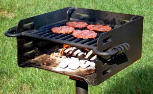 Commercial charcoal grills in parks