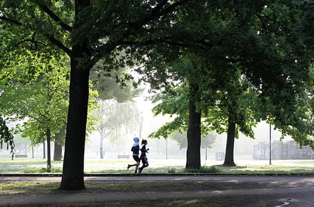 Study Shows How Parks Can Elevate The Physical Activity Of Local Citizens