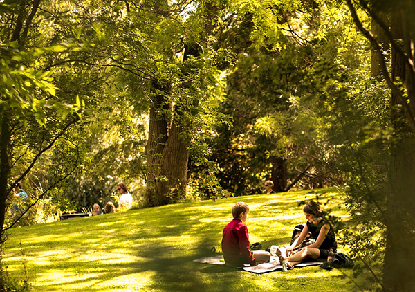 Can You Name The Most Popular Songs About Parks?
