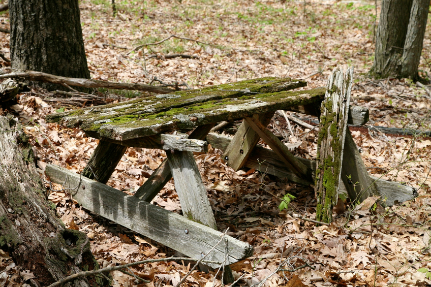 damaged picnic table