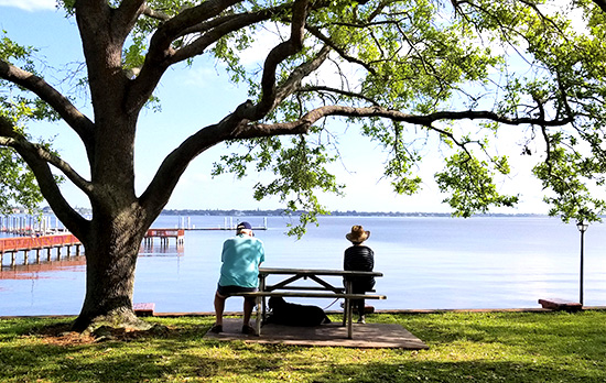 picnic tables