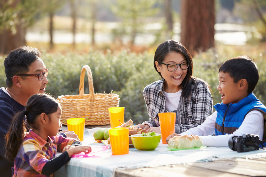 Experts Tips for Planning a Picnic that is Perfect