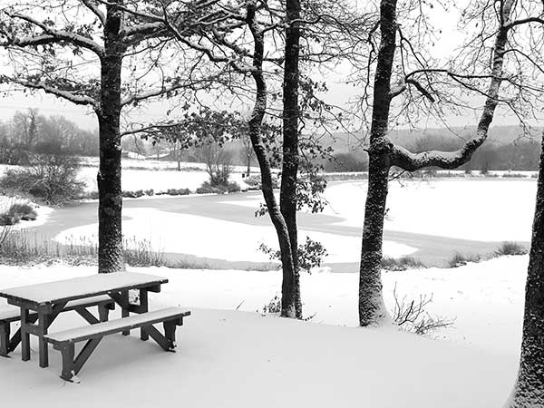 Tips For Winter Picnics When You Have Your Choice Of The Best Picnic Tables And Other Park Amenities