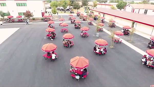 commercial umbrellas