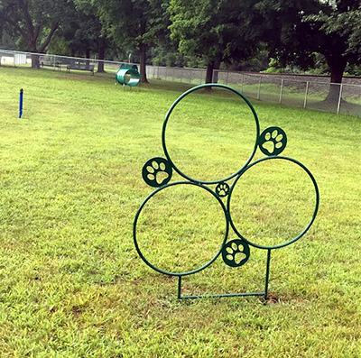 dog agility equipment