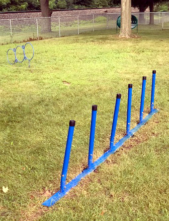 dog weave posts