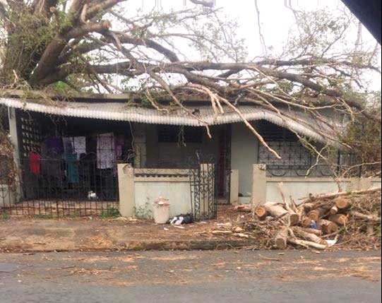 hurricane maria donations