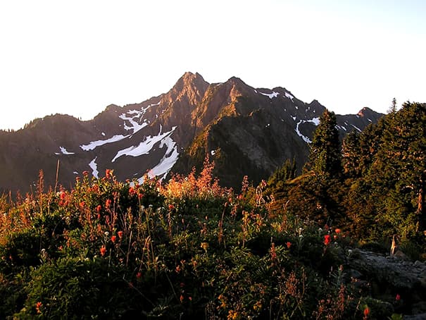 white mountain