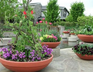 commercial polymer resin planters