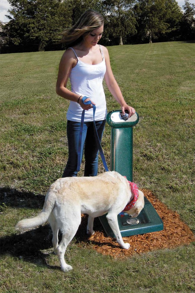 Doggie drinking fountain