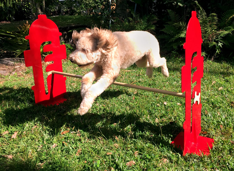 Dog agility hurdles