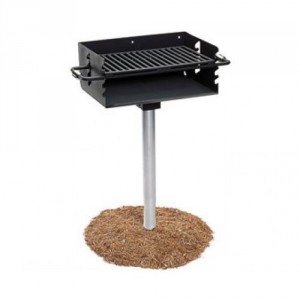 Pedestal park grill